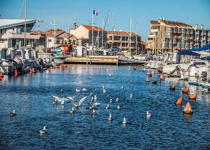 Camping Mobil Detente Et Soleil *